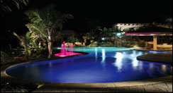 fiberoptic pool lights