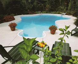 kidney pool design sample